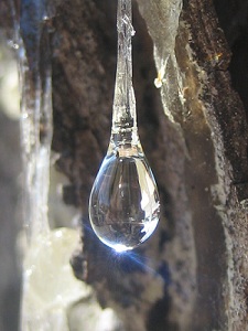 Dividend Reinvestment Plan