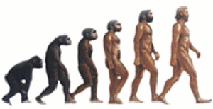 Evolution Of Index Investing