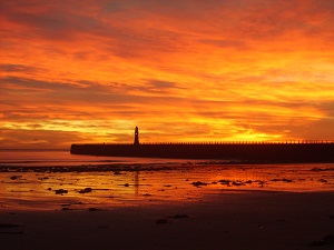 Self Employed Retirement Plans